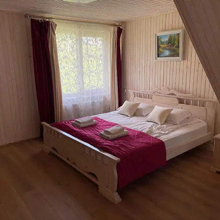 Vulyk Z Medom بيت خشبي