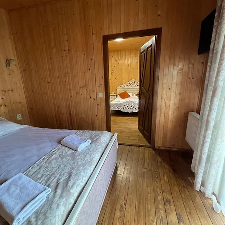 Vulyk Z Medom بوكوفِل