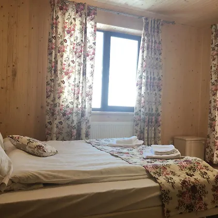 Domek letniskowy Vulyk Z Medom *