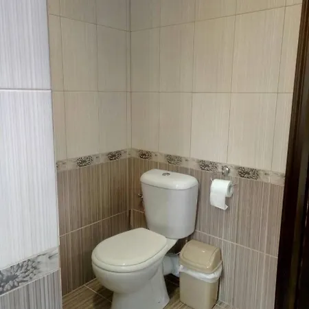 Domek letniskowy Vulyk Z Medom